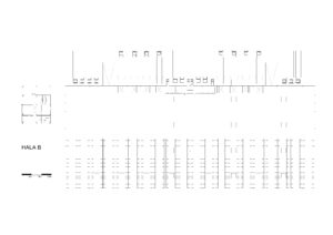 avimex 4